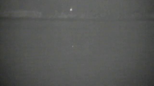 Rabbits through the Pulsar Quantum XD50S. смотреть онлайн