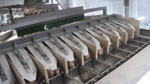 Автоматическая линия для упаковки Картофеля смотреть онлайн