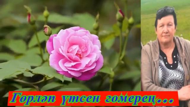 Әлфисә!Котлыйбыз сине туган көнең белән.... смотреть онлайн