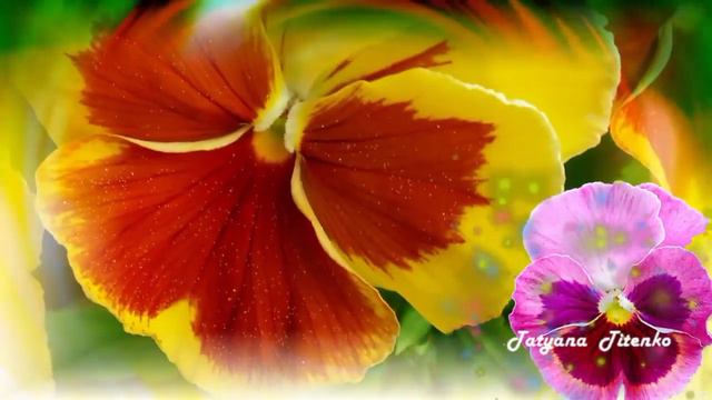 Ах, эти милые глаза… Ah, those cute eyes… смотреть онлайн