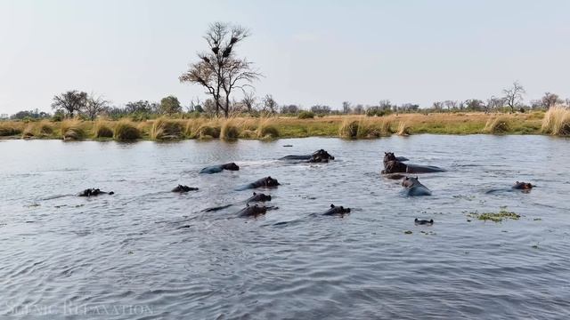 Южная Африка 4K - Живописный Расслабляющий Фильм С Африканской Музыкой. смотреть онлайн