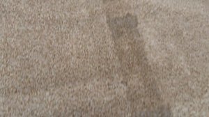 Karcher SE 3 18 Compact Battery SPRAY EXTRACTION CLEANER carpet cleaning test