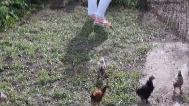 Хорошо в деревне летом...Sony A6000