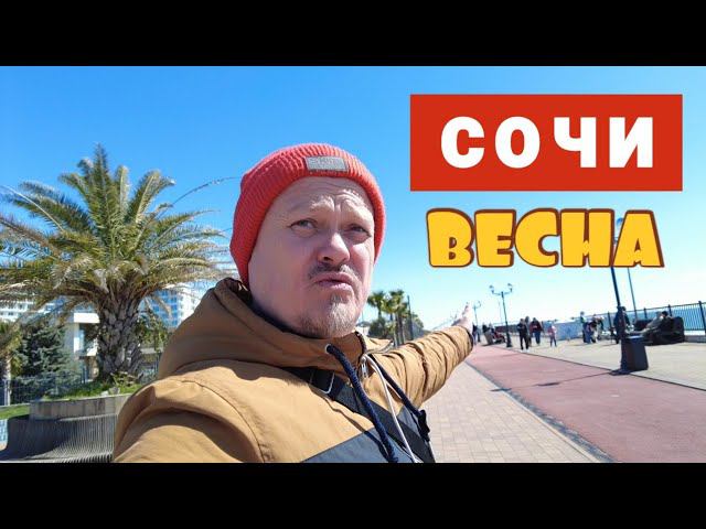 Сочи, Адлер, Сириус, Имеретинский и плюс Олимпийский парк. Весна в Сочи.