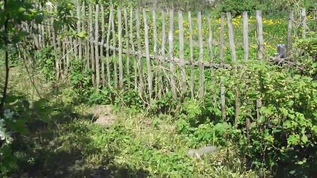 соседский заброшенный участок\ преимущества смотреть онлайн
