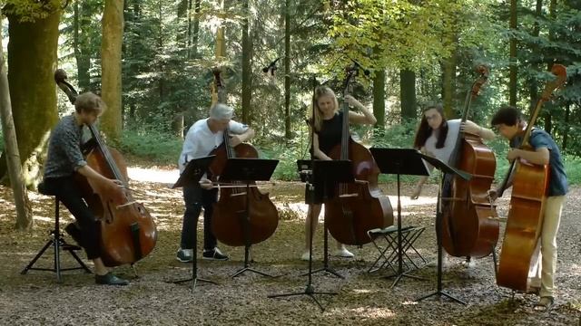 Розовая пантера - контрабасовый квинтет смотреть онлайн