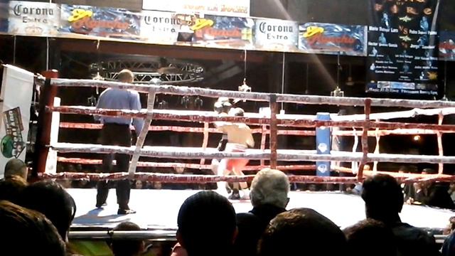 Carlos Martinez vs juan (perro) gusman смотреть онлайн