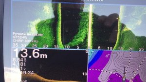 Гармин Страйкер Вивид