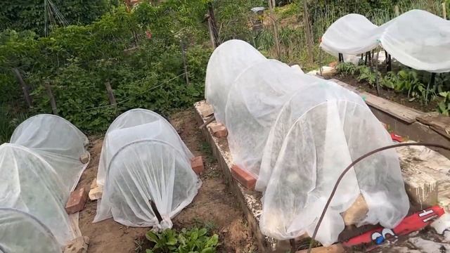 Спасибо большое Подписчицы Надежде. И все про все где я занимаюсь смотреть онлайн