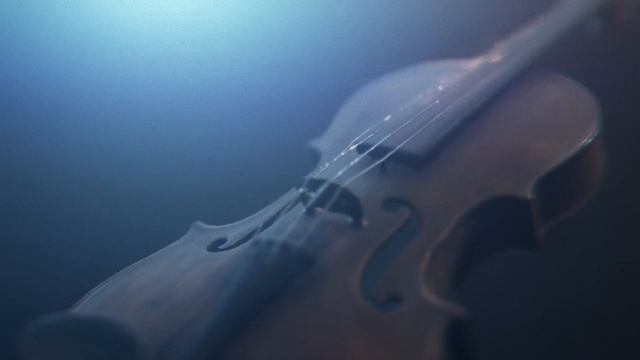 "Играла скрипка" стихотворение / Саша Нестерова смотреть онлайн