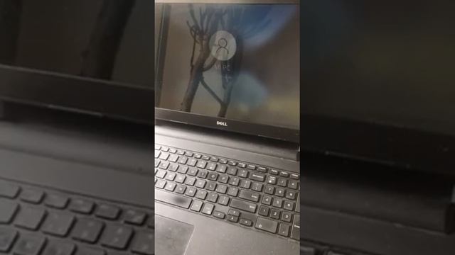 Dell Inspiron 15 3000 Series I3 смотреть онлайн