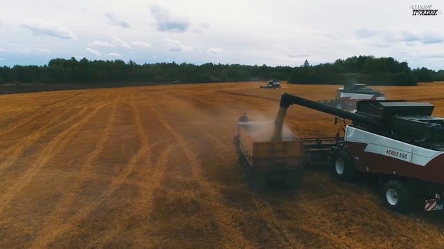 Уборочная кампания - 2022 с. Вагай смотреть онлайн