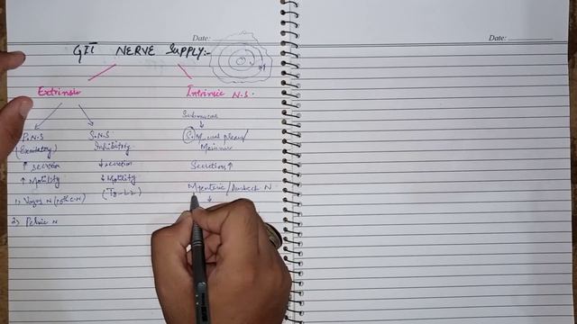 GIT Physiology part 2 | Enteric nervous system / Nerve supply of GIT смотреть онлайн