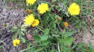 Страстная пятница что можно и что нельзя делать.