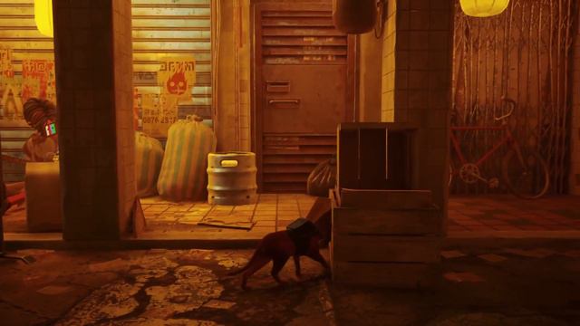 [Stray] Любопытство кошку сгубило :D смотреть онлайн