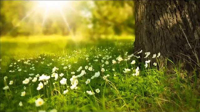 Расслабляющая музыка, лес, водопады, природа, горы, расслабляющая музыка смотреть онлайн