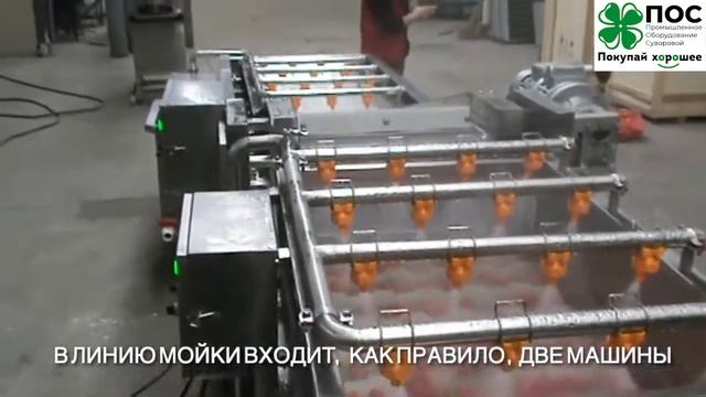 Линия мойки клубники, овощей и фруктов. Пузырьковая мойка с замачиванием и ополаскиванием. смотреть онлайн