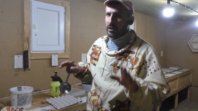 Пчелы в ведре для заселения нуклеусов 21.04.2020