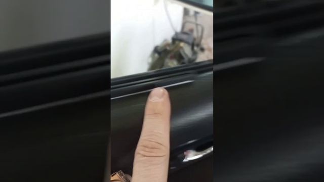 Шторки для Toyota Alphard!