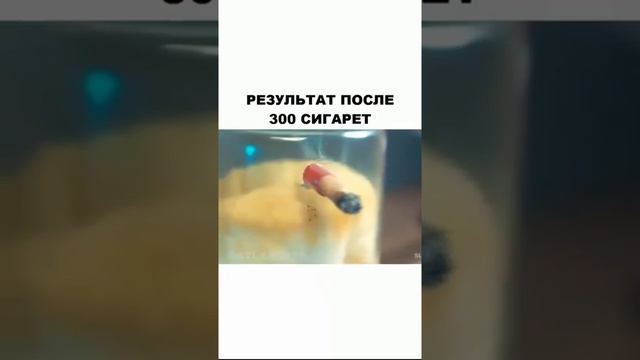 Что происходит с организмом человека после 300 выкуриных сигарет смотреть онлайн