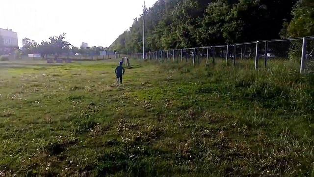 Прогулка с собакой на собачьей площадке смотреть онлайн