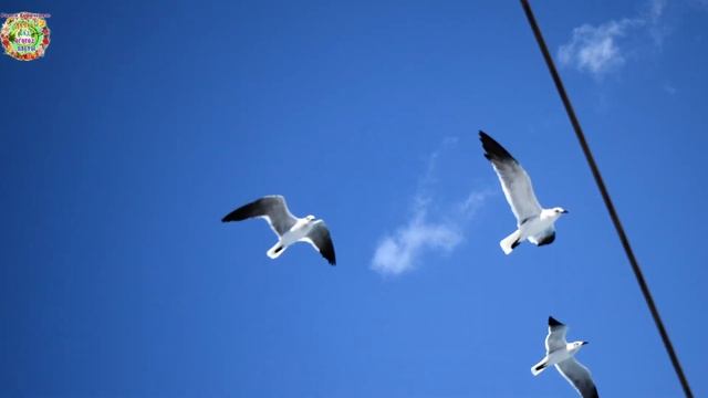 Агрогороскоп с 01 по 04 ноября 2022 года смотреть онлайн