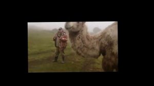 Смешные животные Забавные животные Приколы с верблюдами Братья наши меньшие Милые животные
