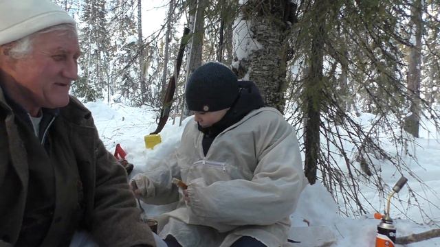 Охота зимой. Вот это нежданчик! Добыли зайца в феврале. Первый полученный опыт молодого охотника. смотреть онлайн