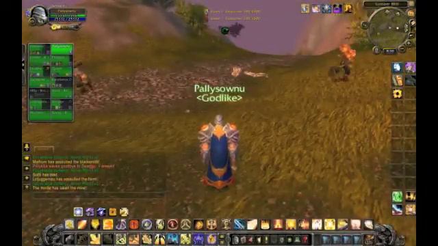 85 Paladin Arathi Basin