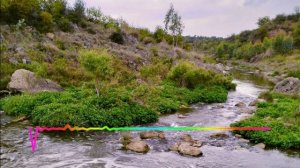 Раисат Магомедова - Жду тебя 2023