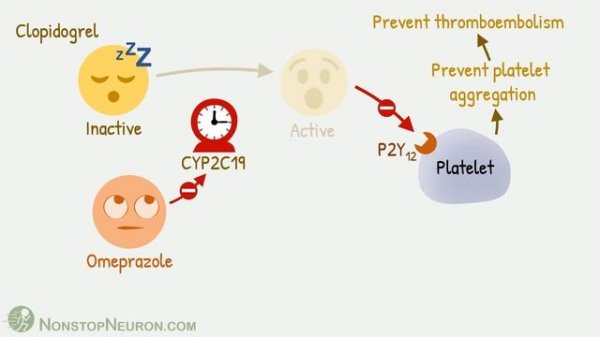 Clopidogrel vs Omeprazole | Drug Interaction