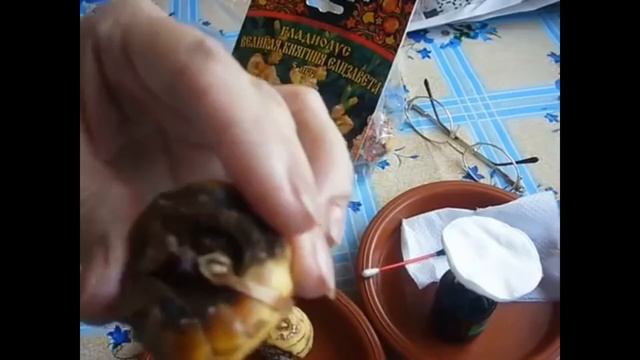 Как можно спасти луковицы гладиолусов? смотреть онлайн