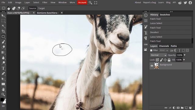 Remove Fence from Photo using Photopea | Photopea Tutorial | Browser Photoshop смотреть онлайн