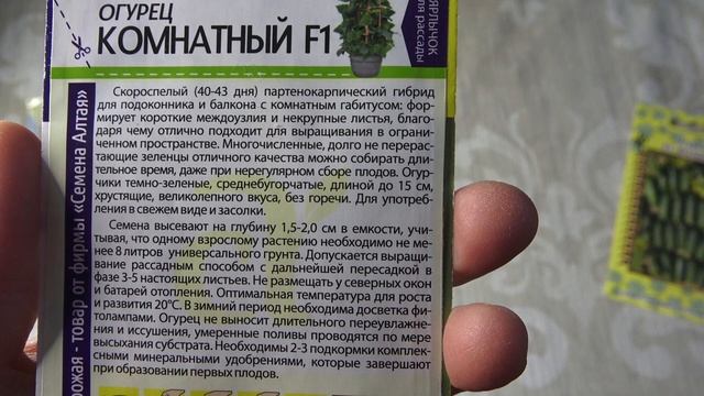 В огород можно не ходить! Посадим все дома! смотреть онлайн