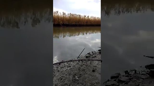 Река .Когда то мы отдыхали и ловили здесь рыбу. Страшно смотреть и до глубины души обидно. смотреть онлайн