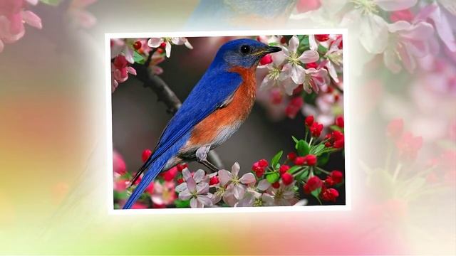 Краски весны