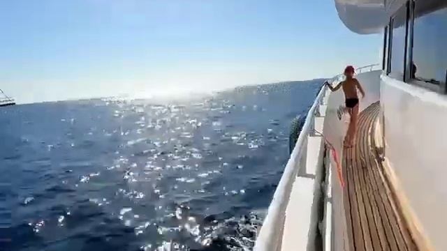 Египет 2021 Рас Мухаммад на яхту экскурсия из шарм Эль шейх ,к морю. смотреть онлайн