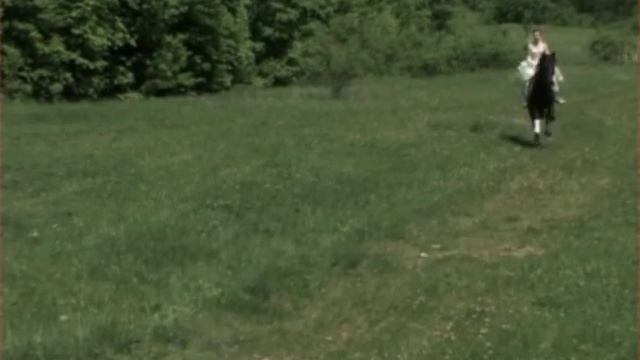 Свадебное видео на лошадях смотреть онлайн