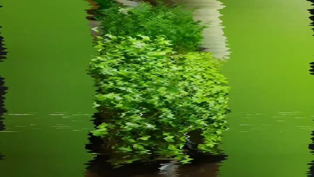 мЗеленьZ Зелëные итоги! смотреть онлайн