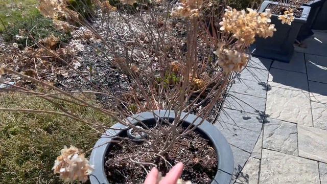 Spring is finally here to stay?! 💚🤞💚- Early April 2023 смотреть онлайн