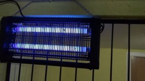 Уничтожитель комаров, какой купить?