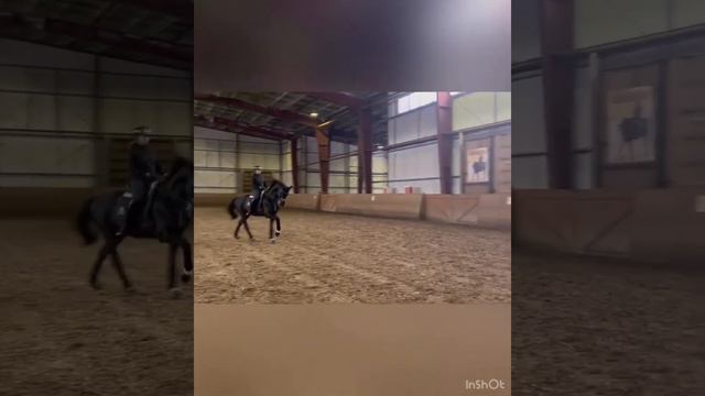 Working moments with the most wonderful stallion VIZBORN & Elena Andreeva смотреть онлайн