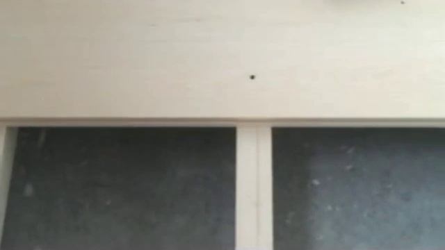 Черновой пол под ламинат на лоджии смотреть онлайн