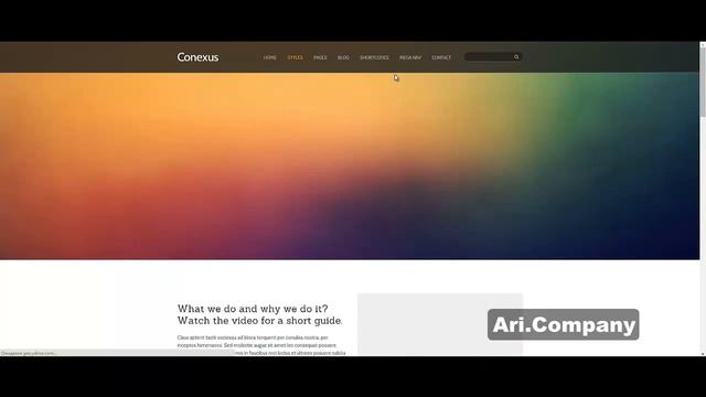 WordPress шаблон Conexus - Ari.Company смотреть онлайн