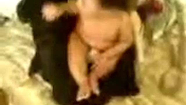 Mia Pearl Pitches a Fit смотреть онлайн