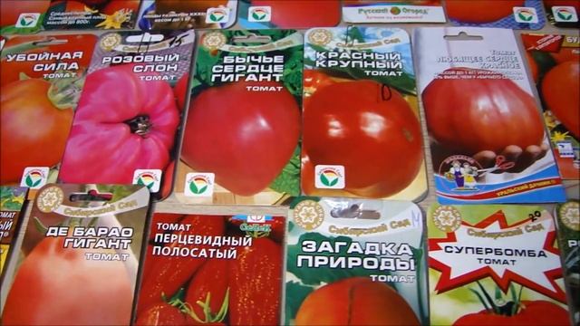 Семена томатов на 2019 год. Какие Томатные деревья буду сажать. смотреть онлайн
