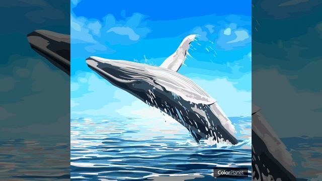 Coloring picture of a jumping whale with game oil painting colorplanet смотреть онлайн