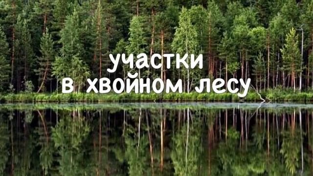 ЭКО ПОСЁЛОК ЛЕСНЫЕ ОЗЕРА смотреть онлайн