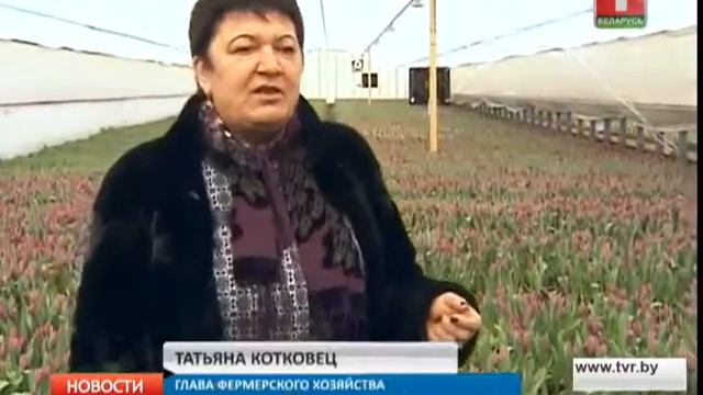3 500 000 тюльпанов к 8 марта! смотреть онлайн