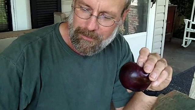 Early/Mid-season Apples: Williams Pride смотреть онлайн